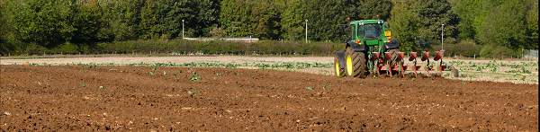 Ploughed fields